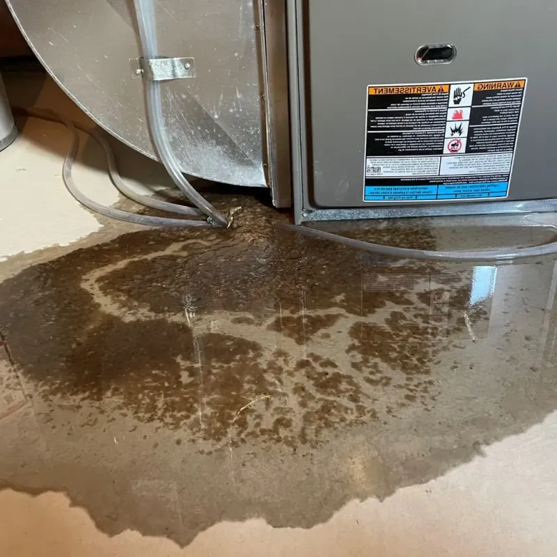Pipe Burst and Leak Restoration in Hampstead, NH